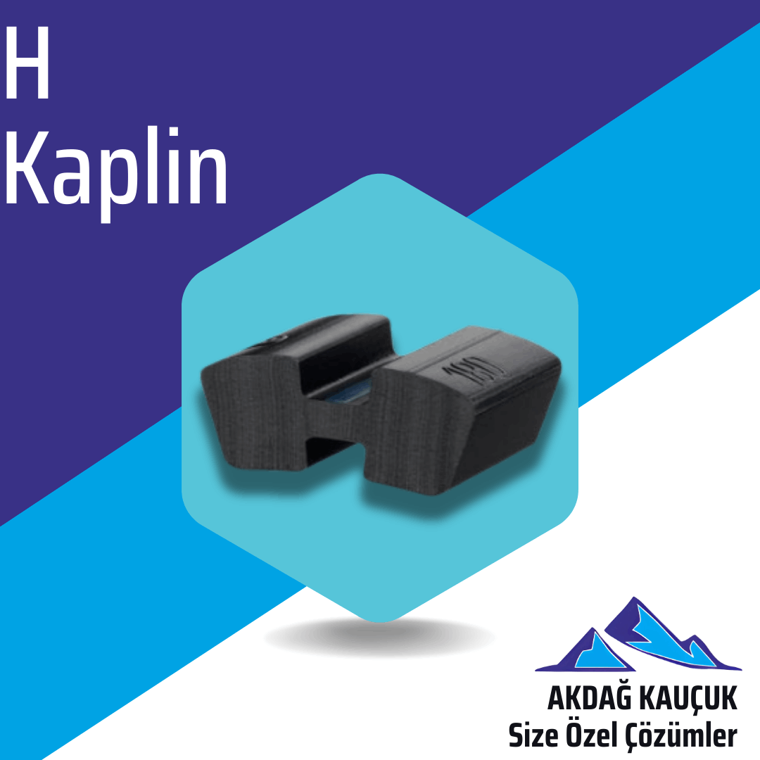 H Kaplin